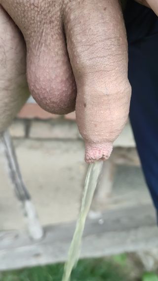 VID_20240801_143801.mp4