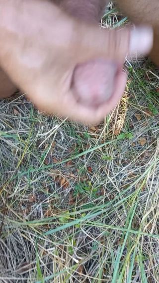 20240827_164747.mp4