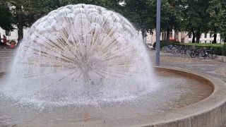 1000007182.mp4