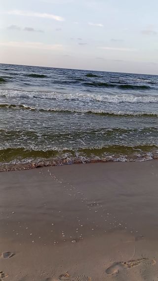 1000005813.mp4