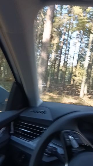 VID_20250310_114612057.mp4