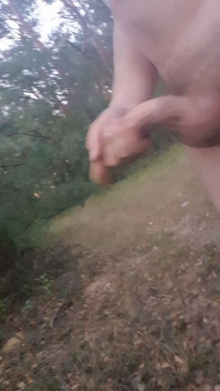20240828_195158.mp4