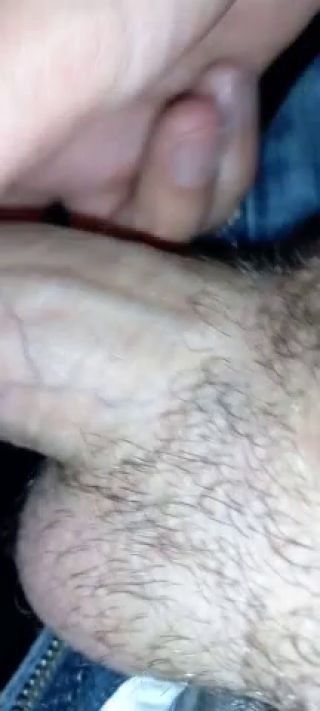 PlenerowyLive