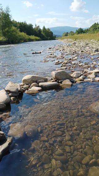 VID_20250720_162116.mp4
