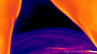PARD_20250806_222024_001.mp4
