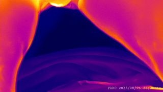 PARD_20250806_222024_001.mp4