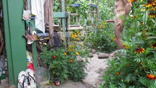 MVI_9486.MOV