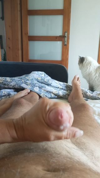 VID20250906085848.mp4