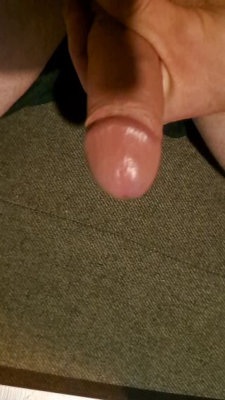onChce31