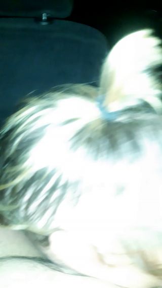 20251211_204101.mp4
