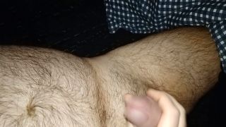 bear26