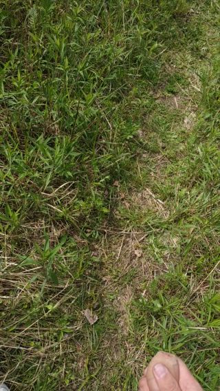 VID_20250511_113819.mp4