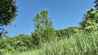 pissnature
