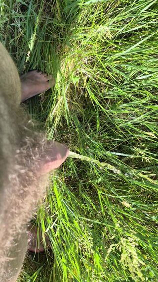 pissnature
