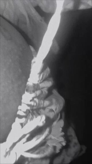 copy_C14EC7E3-82AA-49C2-AB7B-50DEE9D5EC0F.mov