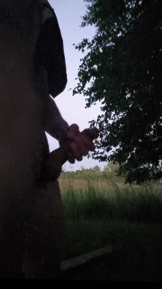 Wariaty11
