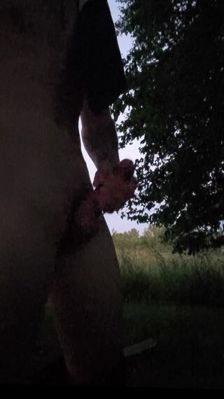 Plenerek 