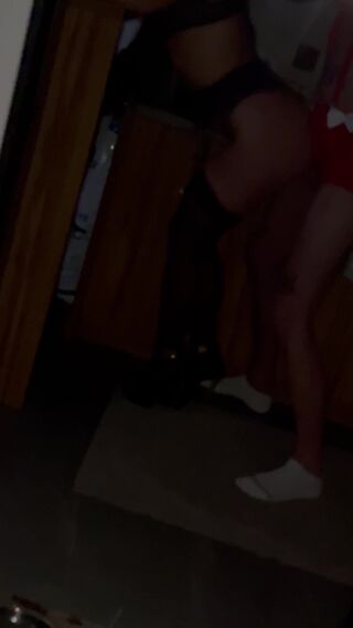 Zorro_Elena