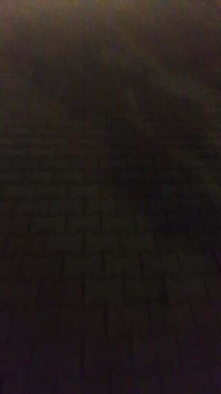 1000003623.mp4